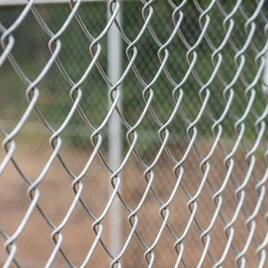 Fencing Wire Mesh